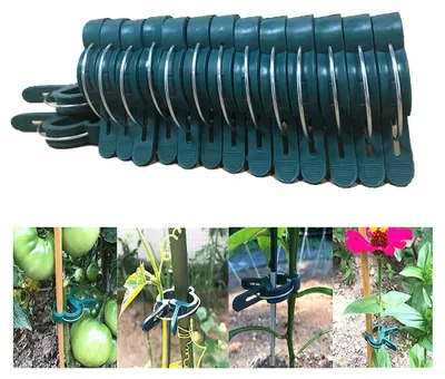 Produktbild von 60 Stück Pflanzclips – Pflanzenklemmen – Kletterhilfe für Pflanzen – Befestigung für Tomaten/Gurken – Umweltfreundlicher Kunststoff – Stabile Klemmen – Pflanzenklemmen