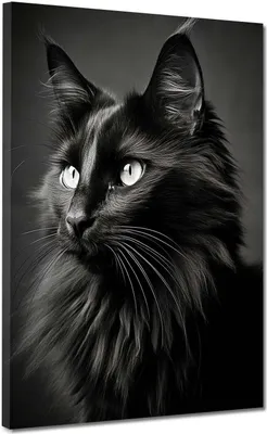Produktbild von Katze schwarz Beautiful Leinwandbild Wandbild Kunstdruck XL Wanddeko: 75x100x4cm