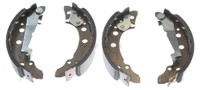 Immagine prodotto di TRISCAN Set ganasce freno posteriori 8100 29001
