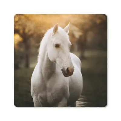 Produktbild von MuchoWow® Mauspad Mousepad Pferd - Sonne - Herbst - Tiere - Natur 20x20 cm - Mousepads - Maus Mat - Pad - Mausunterlage - Desk Mat - Bureauartikeln