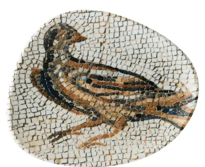Obrázok produktu pre Mesopotamia, taniere ploché, priemer 19 cm, 12 kusov