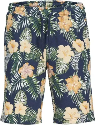 Produktbild von Jack & Jones Chill Sportshorts Mehrfarbig 12 Years Jungen Mehrfarbig 12 Years