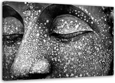 Produktbild von Leinwandbild buddhas augen 120x80 cm Feeby grau wandbild bereit zum aufhängen