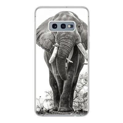 Produktbild von MuchoWow® Handyhülle Schutzhülle Hülle für Samsung Galaxy S10e Elefant - Porträt - Tiere - Schwarz und weiß Silikon Softcase Handy Hülle - Handy