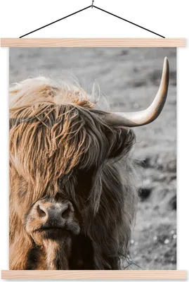 Produktbild von MuchoWow® Textilposter Schottisches Hochlandrind - Tier - Porträt 40x53 cm mit holzfarbenen Rahmen - Schlafzimmer