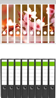 Produktbild von Wallario 8 Stück schmale Ordner inkl. Klebeetiketten mit Motive Frühlingsgefühle II - Kirschblüten in Nahaufnahme -  Set mit Rückenschildern / Ordnerrücken Stickern