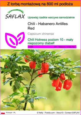 Zdjęcie produktu dla SAFLAX - Garden in the bag - Chili - Habanero Antilles Red - 10 Nasiona - Z podłożem uprawowym w praktycznej, samorozkładającej się torbie - Capsicum chinense