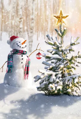 Produktbild von Weihnachten unverpackte Weihnachtskarten mit Briefumschlag Schneemann Tannenbaum Stern
