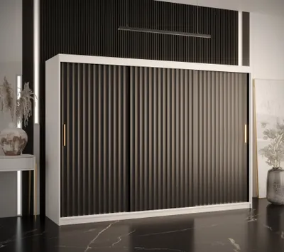 Produktbild von Kleiderschrank RADKIN 1 – Breite 250 cm, weiß / schwarz