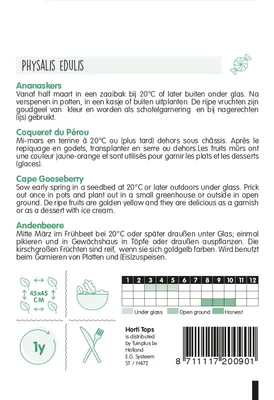 Produktbild von Andenbeere | Andenbeerensamen von Hortitops