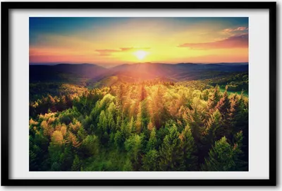 Produktbild von Bild 60x40 MDF-Rahmen, Wandkunst Wald Sonnenuntergang