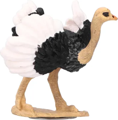 Produktbild von Strauß-Modell, hochsimulierte Wildtier-Tierfiguren-Sammlung, pädagogische Prop773