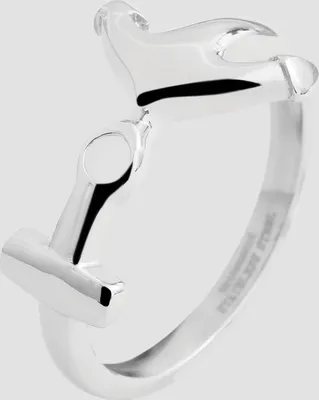 Produktbild von Akzent Damen-Ring aus Edelstahl
