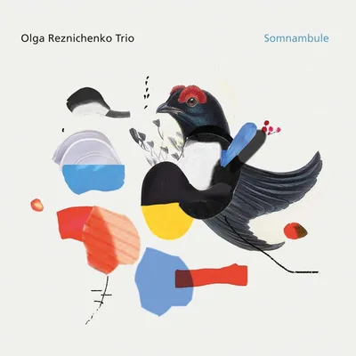Obrázek produktu pro Olga Reznichenko: Somnambule - - (CD / S)
