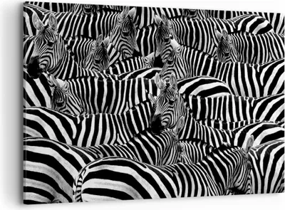 Produktbild von Bild auf Leinwand - Leinwandbild - Tiere Zebra Streifen - 100x70cm - Wand Bild - Wanddeko - Leinwanddruck - Bilder - Kunstdruck - Wanddekoration - Leinwand bilder - Wandkunst - AA100x70-0340