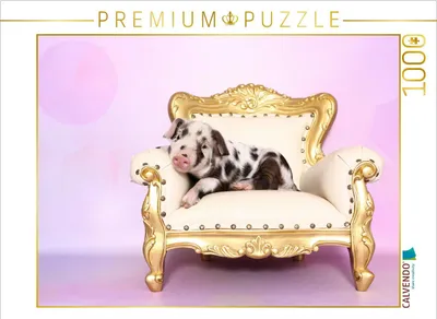 Produktbild von CALVENDO Puzzle Turopolje Ferkel / Turopolje Piglet | 1000 Teile Lege-Größe 64 × 48 cm Foto-Puzzle für glückliche Stunden