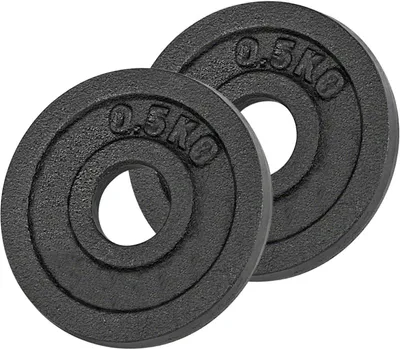 Two black weight plates on a white background.