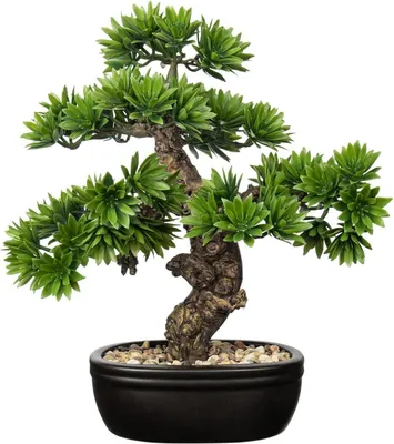 Immagine prodotto di Pianta artificiale bonsai realistica per decorazione, altezza 40 cm in vaso