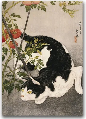 Produktbild von Poster - Canvas - Leinwand - 59,4 cm x 84,1 cm - Fotoposter - Leinwandkunst - Katze um die Tomate