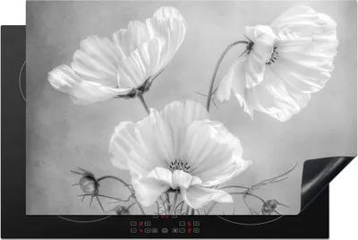 Produktbild von KitchenYeah© Herdabdeckplatte Stilleben - Blumen - Schwarz und weiß - Mohn - Botanisch , 80x52cm, Küche Deko, Glaskeramikkochfeld Herdabdeckung, Abdeckplatte fùr Kochfeld
