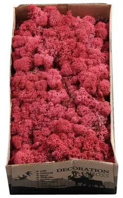 Deko-Moos Bordeauxrot 500g für Basteln & Floristik