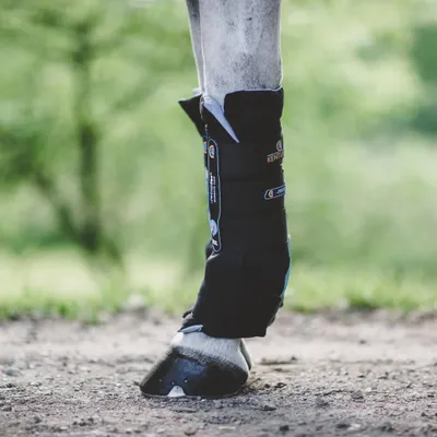 Produktbild von Kentucky Horsewear Stallgamaschen Magnetisch Recuptex