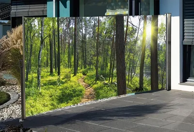 Produktbild von Seitenmarkise mit Fotodruck Wald
