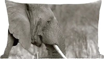 Produktbild von MuchoWow® Zierkissen Sofakissen Wohnzimmer Dekokissen 50x30 cm Elefant - Tiere - Schwarz - Weiß - Wohnzimmerdekoration - Polster mit Photo