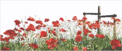 Produktbild von Thea Gouverneur Kreuzstich-Set 'Aida Mohnblumen', 55x22cm