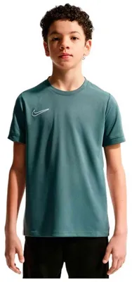 Image de Maillot Nike Nike Academy pour Enfant