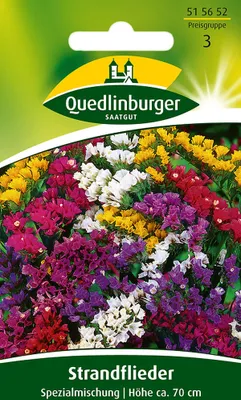 Produktbild von Quedlinburger Strandflieder Spezialmischung - Blumensamen