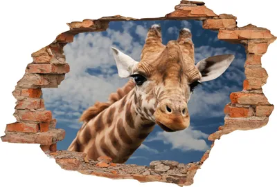 Produktbild von 3D-Aufkleber Fototapete Ziegelstein mit Aussicht 160 x 110
