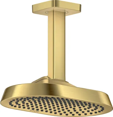 Immagine prodotto di hansgrohe AXOR ShowerSphere Douche de tête 250/160 1jet EcoSmart avec raccordement au plafond, 6 l/min, 39771250, 39771250