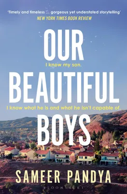 Produktbild von Our Beautiful Boys