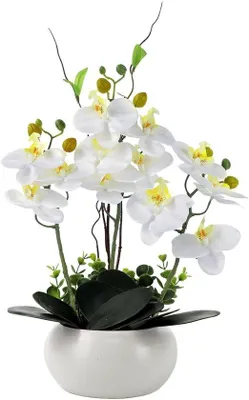 Obrázek produktu pro Orchidejová deka – umělá Phalaenopsis – dekorativní květiny – jedinečný kus – 36 cm