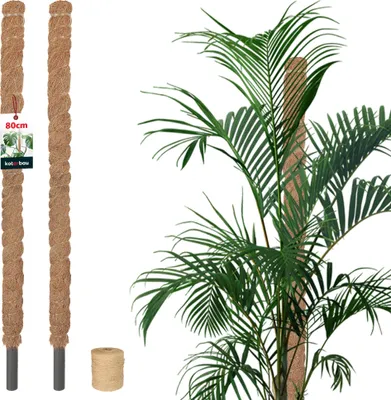 Produktbild von KOTARBAU® 2er Set Moosstab für Monstera ⌀ 2,5x80cm Rankhilfe für Zimmerpflanzen Pflanzstab Kokosstab  Pflanzenstütze aus Kokosfaser Braun