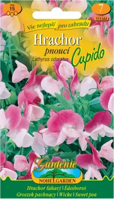 Obrázek produktu pro Hrachor vonný pnoucí CUPIDO, růžovo-bílý