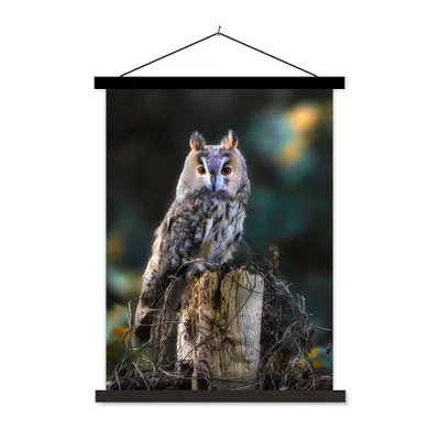 Produktbild von MuchoWow® Textilposter Eule - Herbst - Vogel - Äste 40x53 cm mit schwarzem Rahmen - Abbildung