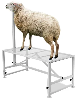 Produktbild von VEVOR Viehstand 51x23 Zoll, Trimmstand mit geradem Kopfstück, Ziegen-Trimmstand Metallrahmen Schafschurstand Viehtrimmstände, 47 x 23 in-a, Weiß
