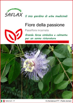 Immagine prodotto di SAFLAX  - Fiore della passione - 5 semi - Passiflora