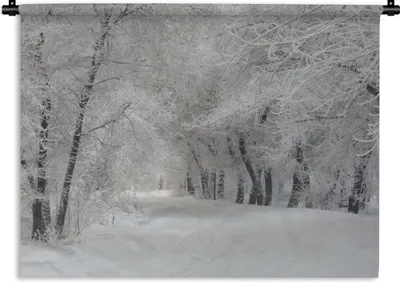 Produktbild von MuchoWow® Wandteppich Wandbehang Bäume - Schnee - Winter 150x112.50 cm Tapisserie Dekoration Wandtuch - Wanddecke - Wandteppiche