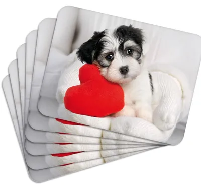 Produktbild von MG Design Set aus 6 Kork-Platzsets - Dog 2 - 30 x 40 cm - hitzebeständig & abwischbar, mit Korkrückseite