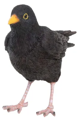 Immagine prodotto di Amsel Figuur: Resistente alle intemperie, ideale per balconi, terrazze e giardini