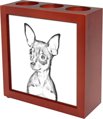 Produktbild von Russischer Toy, Russkiy Toy, Russischer Zwergspaniel - Stifthalter mit Hund, Schreibtischorganizer mit Aufdruck, personalisierte Schreibtischdekoration der Marke Art-Dog