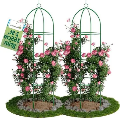 Produktbild von Famanu Rankobelisk 165 cm - Set von 2, grün, für Kletterpflanzen
