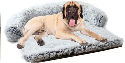 Image de Grand tapis orthopédique moelleux pour chien