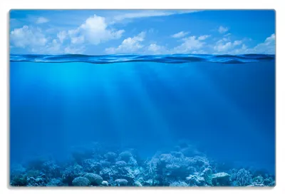 Produktbild von Wallario Frühstücksbrettchen aus Glas 20 x 30 cm mit rutschfesten Füßen, Motiv Unterwasserwelt Meer