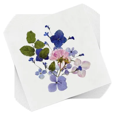 Produktbild von 50 Blatt Löschpapier für npresse, 26,5 x 26,5 cm