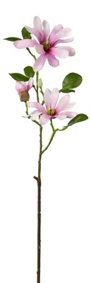 Produktbild von Kunstblume STERNMAGNOLIE 60cm. Magnolie mit 3 Blüten und Knospe. ROSA