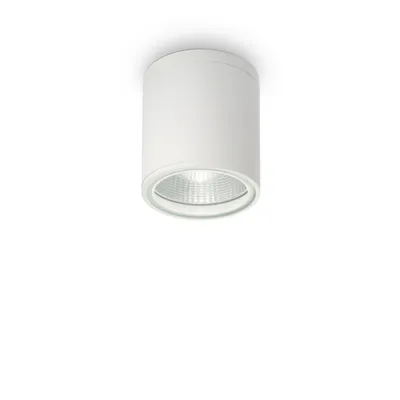 Immagine prodotto di Plafoniera Moderna Gun Alluminio Bianco 1 Luce Gu10